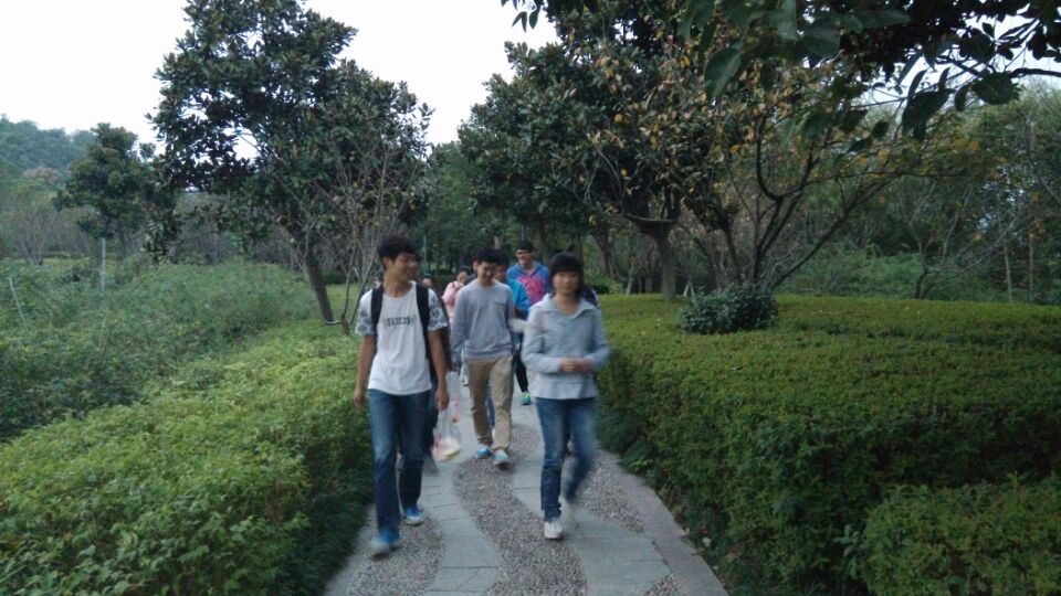 【化工学院】化工1401班开展长“广溪绿色出行”活动