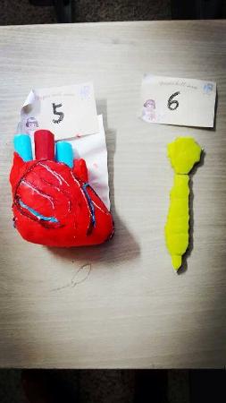【医学院】医学院举办“医”标人裁医学标本创意制作大赛