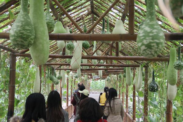【法学院】法学院2013级研究生赴华西村学习考察