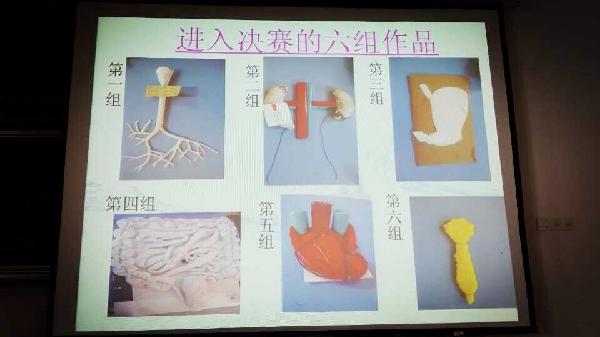 【医学院】医学院举办“医”标人裁医学标本创意制作大赛