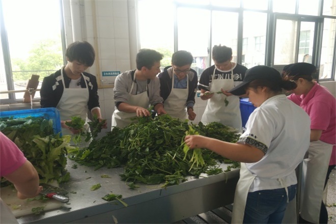 【理学院】信计1503班举行劳动节主题团日活动
