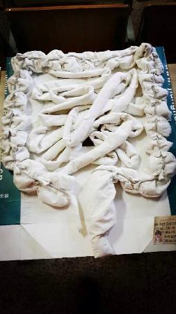 【医学院】医学院举办“医”标人裁医学标本创意制作大赛