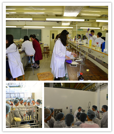 【食品学院】国际交流获真知，游学实践长才干